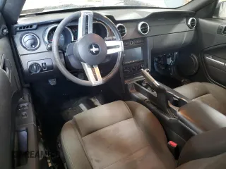 2006 Ford Mustang Standard with VIN 1ZVFT84N565111058, listed as a Copart auction lot 48254345 with Not Provided miles and Salvage Title. Bid and sale history available at carsss.com. Image 8.