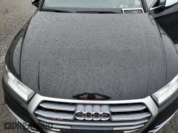 2018 Audi SQ5 Premium Plus with VIN WA1A4AFY9J2133075, listed as a Copart auction lot 48996535 with 0 mi miles and Salvage Title. Bid and sale history available at carsss.com. Image 11.