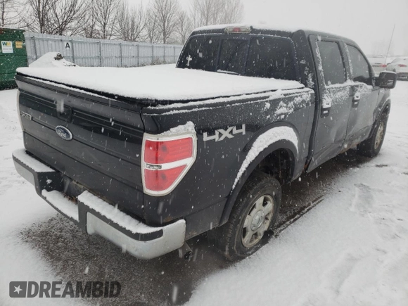 2010 Ford F-150 XL with VIN 1FTEW1E88AFC73162, listed as a Copart auction lot 67450871 with 288,009 mi miles and Clean title. Bid and sale history available at DreamBid. Image 4.