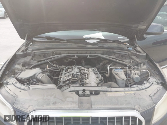 2014 Audi Q5 Premium Plus with VIN WA1LFAFP6EA038754, listed as a IAAI auction lot 42161656 with 173,202 mi miles. Bid and sale history available at carsss.com. Image 10.