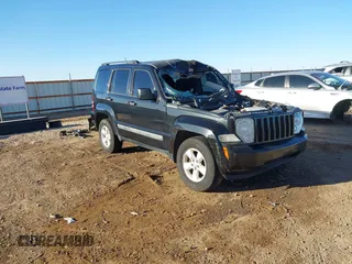 2010 Jeep Liberty Sport with VIN 1J4PP2GK3AW110725, listed as a IAAI auction lot 41695368 with Not Provided miles and . Bid and sale history available at DreamBid. Image 1.