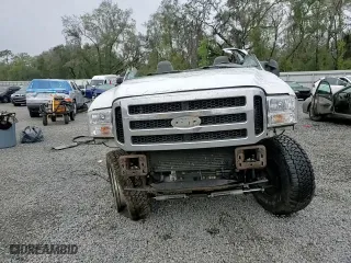 2006 Ford Super Duty F-250 XL with VIN 1FTSF21P86EC13434, listed as a Copart auction lot 46517035 with 179,370 mi miles and Salvage Title. Bid and sale history available at carsss.com. Image 11.
