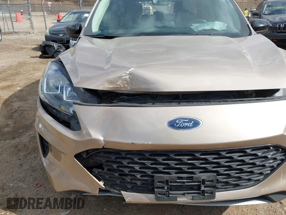 2020 Ford Escape SE Sport Hybrid with VIN 1FMCU0BZXLUC08683, listed as a IAAI auction lot 41882926 with 59,831 mi miles and . Bid and sale history available at DreamBid. Image 6.