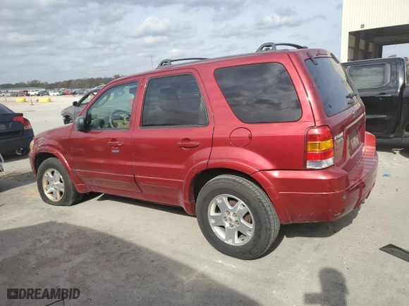2007 Ford Escape Limited with VIN 1FMCU04117KA67060, listed as a Copart auction lot 78169454 with 134,663 mi miles and Salvage Title. Bid and sale history available at carsss.com. Image 2.