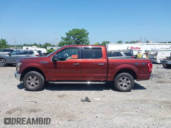 2016 Ford F-150 XLT with VIN 1FTEW1EF2GFD09497, listed as a IAAI auction lot 42579362 with 95,337 mi miles and . Bid and sale history available at DreamBid. Image 14.