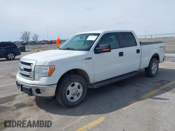 2013 Ford F-150 XL with VIN 1FTFW1EF0DKE89439, listed as a IAAI auction lot 41895497 with 131,567 mi miles. Bid and sale history available at carsss.com. Image 18.