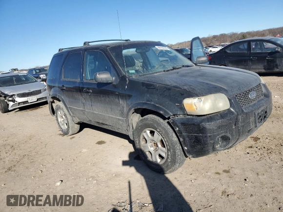 2006 Ford Escape Limited with VIN 1FMYU04196KA34229, listed as a Copart auction lot 46709785 with 203,203 mi miles and Salvage title. Bid and sale history available at DreamBid. Image 4.