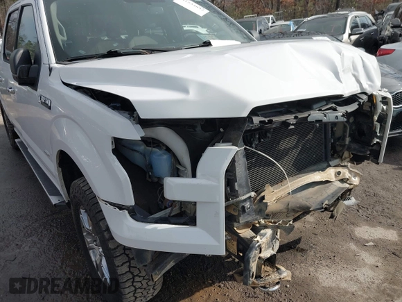 2016 Ford F-150 XLT with VIN 1FTFW1EG9GFC01505, listed as a IAAI auction lot 41534892 with 156,150 mi miles. Bid and sale history available at carsss.com. Image 6.