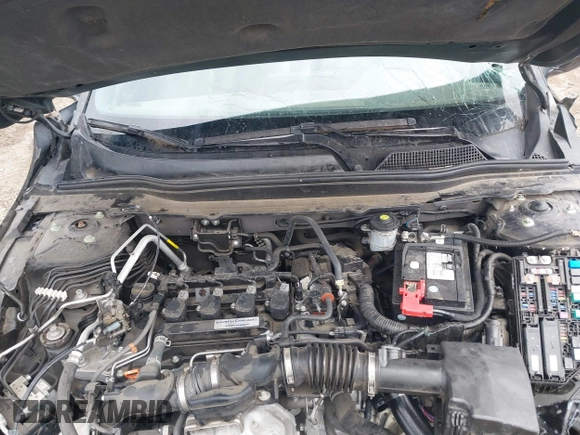 2019 Honda Accord Sport with VIN 1HGCV1F34KA027528, listed as a IAAI auction lot 42146346 with 51,221 mi miles and . Bid and sale history available at DreamBid. Image 10.