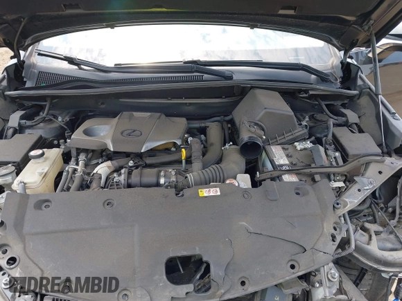 2020 Lexus NX 300 z VIN JTJDARDZ9L5013698, wystawiony jako IAAI lot #42428739 z przebiegiem 33 982 mil mil oraz . Historia ofert i sprzedaży dostępna na DreamBid. Obrazek 10.