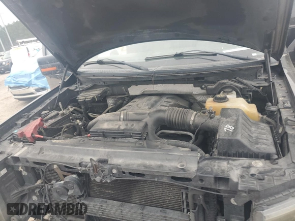 2013 Ford F-150 XL with VIN 1FTFW1ET4DKF46019, listed as a Copart auction lot 48988855 with 170,141 mi miles and Salvage Title. Bid and sale history available at carsss.com. Image 12.