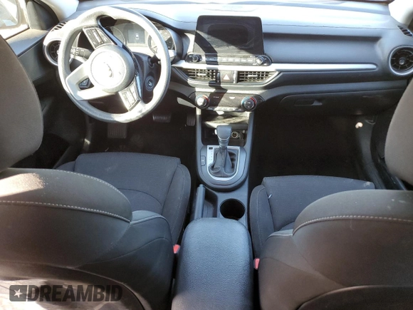 2019 Kia Forte LXS with VIN 3KPF24ADXKE008680, listed as a Copart auction lot 42830905 with 124,252 mi miles and Salvage Title. Bid and sale history available at carsss.com. Image 8.