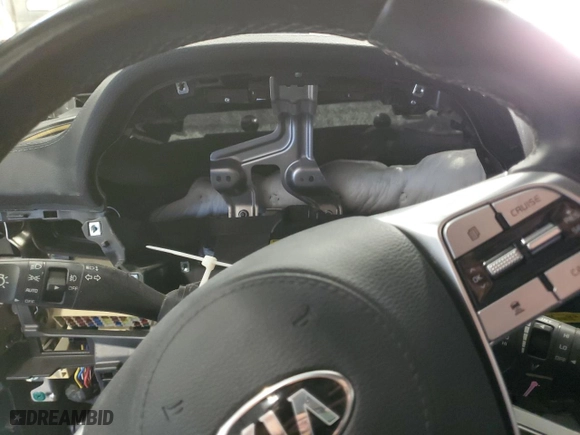 2021 Kia Telluride SX with VIN 5XYP5DHC8MG186179, listed as a Copart auction lot 46685605 with 0 mi miles and Salvage Title. Bid and sale history available at carsss.com. Image 9.
