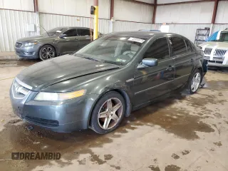 2004 Acura TL with VIN 19UUA66234A036244, listed as a Copart auction lot 46888675 with 0 mi miles and Salvage Title. Bid and sale history available at carsss.com. Image 1.