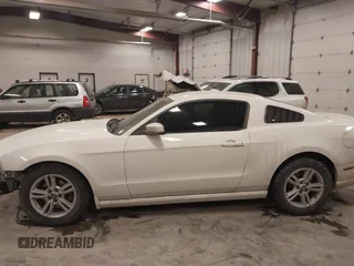 2013 Ford Mustang V6 with VIN 1ZVBP8AM0D5281131, listed as a IAAI auction lot 41447563 with 119,820 mi miles. Bid and sale history available at carsss.com. Image 14.
