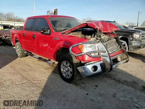 2009 Ford F-150 XL with VIN 1FTRW14849FA05790, listed as a Copart auction lot 87194234 with 212,721 mi miles and Salvage Title. Bid and sale history available at DreamBid. Image 11.