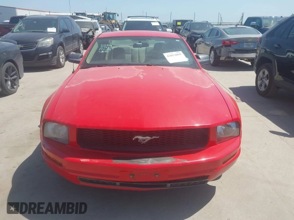 2009 Ford Mustang with VIN 1ZVHT80N295114597, listed as a IAAI auction lot 42013099 with 117,370 mi miles and . Bid and sale history available at carsss.com. Image 13.