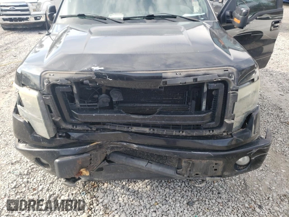 2013 Ford F-150 XL with VIN 1FTFW1ET6DKF08260, listed as a Copart auction lot 42494635 with 252,331 mi miles and Salvage Title. Bid and sale history available at carsss.com. Image 13.