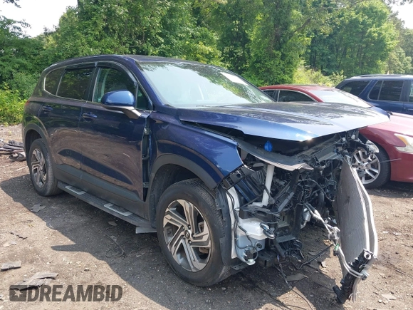 2021 Hyundai Santa Fe SE with VIN 5NMS1DAJXMH344025, listed as a IAAI auction lot 42477124 with 17,129 mi miles and . Bid and sale history available at DreamBid. Image 6.