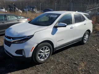 2024 Chevrolet Equinox LT with VIN 3GNAXUEG2RL226917, listed as a Copart auction lot 49223835 with 31,121 mi miles and Non Repairable. Bid and sale history available at carsss.com. Image 1.