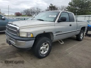 1999 Dodge 1500 with VIN 3B7HF13Z9XG247816, listed as a Copart auction lot 53066405 with 164,766 mi miles and Salvage Title. Bid and sale history available at DreamBid. Image 1.