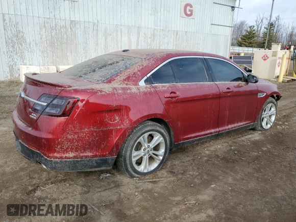 2014 Ford Taurus SEL with VIN 1FAHP2E83EG144221, listed as a Copart auction lot 49547535 with 123,574 mi miles and Clean Title. Bid and sale history available at carsss.com. Image 3.