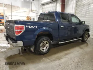 2013 Ford F-150 XL with VIN 1FTFW1EF9DKE61705, listed as a Copart auction lot 61339085 with 169,322 mi miles and Salvage title. Bid and sale history available at DreamBid. Image 3.
