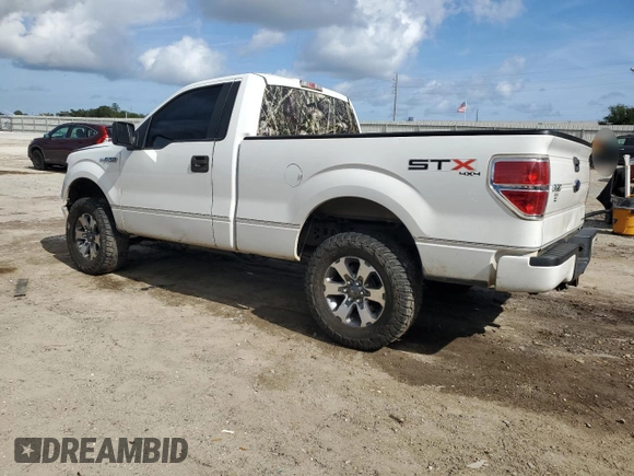 2013 Ford F-150 XL with VIN 1FTMF1EF1DFA51044, listed as a Copart auction lot 79561474 with 191,122 mi miles and Salvage Title. Bid and sale history available at DreamBid. Image 2.