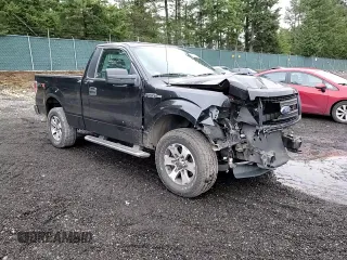 2013 Ford F-150 XL with VIN 1FTMF1EF1DKF32841, listed as a Copart auction lot 43436565 with 64,986 mi miles and Salvage Title. Bid and sale history available at DreamBid. Image 10.