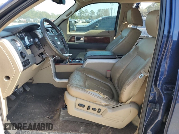 2009 Ford F-150 XL with VIN 1FTPW12VX9FA74998, listed as a Copart auction lot 44105425 with 160,244 mi miles and Salvage Title. Bid and sale history available at carsss.com. Image 7.
