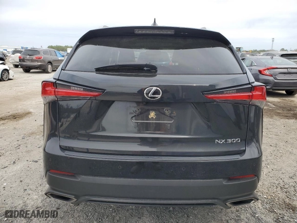 2020 Lexus NX with VIN JTJGARDZXL2222267, listed as a Copart auction lot 47638745 with NaN miles and Salvage Title. Bid and sale history available at carsss.com. Image 6.