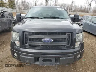 2013 Ford F-150 XL with VIN 1FTFW1EF3DFB48237, listed as a Copart auction lot 50518275 with 208,056 mi miles and Clean Title. Bid and sale history available at carsss.com. Image 5.