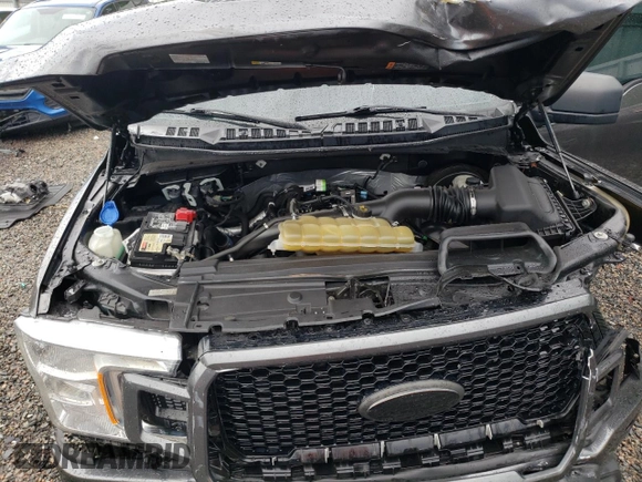 2019 Ford F-150 XL with VIN 1FTEW1CP2KKD94918, listed as a Copart auction lot 80581174 with Not provided miles and Salvage title. Bid and sale history available at DreamBid. Image 12.