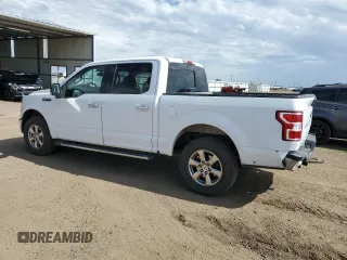 2019 Ford F-150 XL with VIN 1FTEW1EPXKKC50501, listed as a Copart auction lot 62301215 with 79,065 mi miles and Salvage title. Bid and sale history available at DreamBid. Image 2.