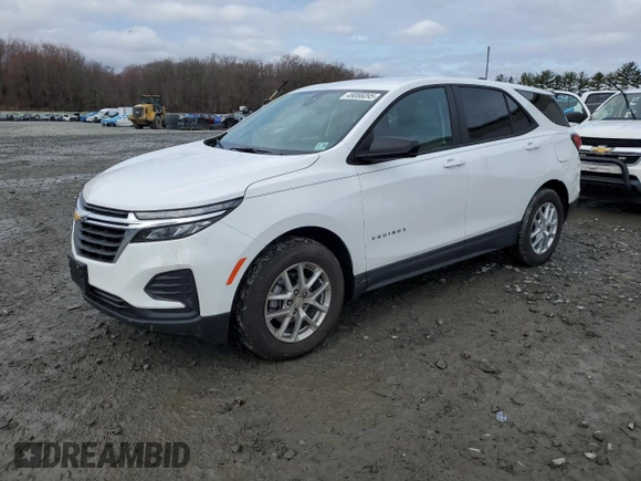 2024 Chevrolet Equinox LS with VIN 3GNAXHEG7RL323456, listed as a Copart auction lot 49086095 with 8,591 mi miles and Salvage title. Bid and sale history available at DreamBid. Image 1.