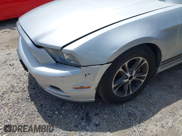 2013 Ford Mustang V6 with VIN 1ZVBP8AM7D5242049, listed as a IAAI auction lot 42629636 with 128,992 mi miles and . Bid and sale history available at DreamBid. Image 6.