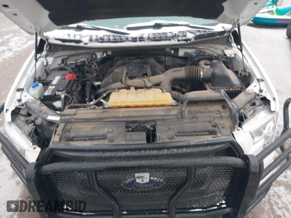 2017 Ford F-150 XL with VIN 1FTMF1EP9HKE13644, listed as a IAAI auction lot 41538146 with 70,575 mi miles and . Bid and sale history available at DreamBid. Image 10.