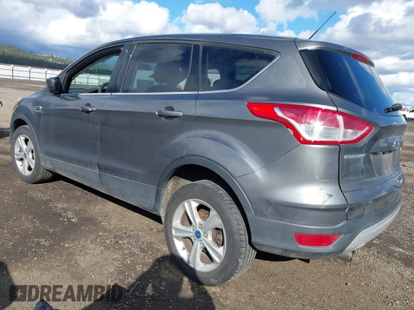2013 Ford Escape SE with VIN 1FMCU9GX8DUC76686, listed as a IAAI auction lot 41809554 with 126,718 mi miles. Bid and sale history available at carsss.com. Image 3.
