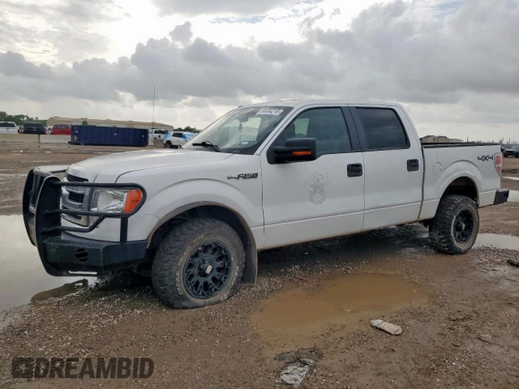2013 Ford F-150 XL with VIN 1FTFW1EF8DFA45783, listed as a Copart auction lot 64494215 with 194,441 mi miles and Clean title. Bid and sale history available at DreamBid. Image 1.