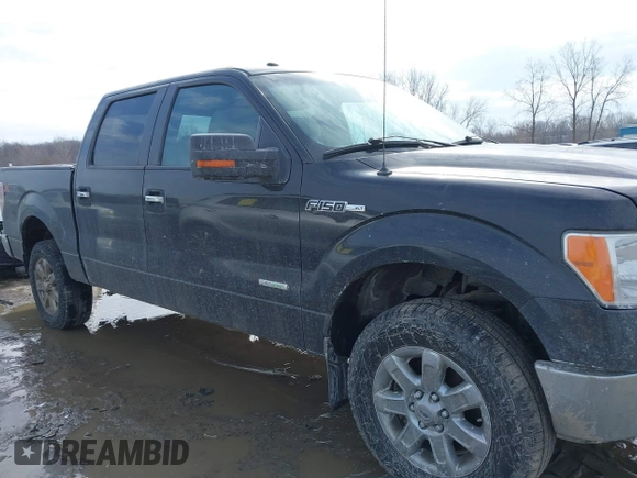 2013 Ford F-150 XL with VIN 1FTFW1ET0DFD70773, listed as a IAAI auction lot 41619780 with 127,309 mi miles. Bid and sale history available at carsss.com. Image 13.