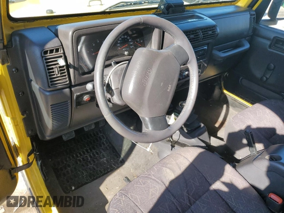 2002 Jeep Wrangler X with VIN 1J4FA39S22P707537, listed as a Copart auction lot 42436525 with 0 mi miles and Salvage Title. Bid and sale history available at carsss.com. Image 8.