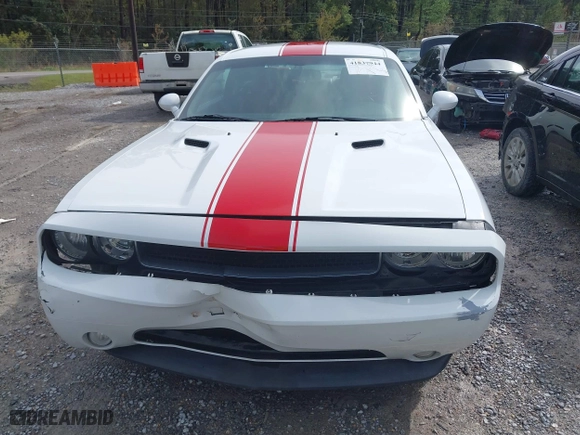 2013 Dodge Challenger SXT with VIN 2C3CDYAG9DH734248, listed as a IAAI auction lot 41837944 with 113,142 mi miles. Bid and sale history available at carsss.com. Image 13.