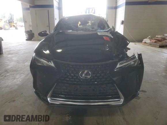 2022 Lexus UX 200 with VIN JTHX3JBH2N2050696, listed as a Copart auction lot 55606485 with 52,661 mi miles and Salvage title. Bid and sale history available at DreamBid. Image 5.