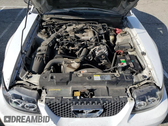 2004 Ford Mustang Standard with VIN 1FAFP404X4F105539, listed as a Copart auction lot 49404775 with 134,870 mi miles and Salvage Title. Bid and sale history available at carsss.com. Image 11.