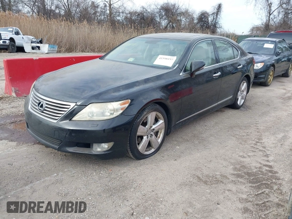 2010 Lexus LS 460 with VIN JTHBL5EF0A5091980, listed as a IAAI auction lot 41598197 with 230,278 mi miles. Bid and sale history available at carsss.com. Image 17.