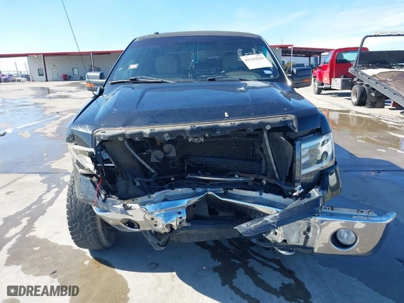 2010 Ford F-150 XL with VIN 1FTEW1E87AFC49449, listed as a IAAI auction lot 41312515 with 226,355 mi miles. Bid and sale history available at carsss.com. Image 12.