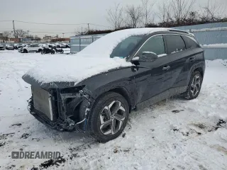2023 Hyundai Tucson SEL with VIN 5NMJFCAE3PH179420, listed as a Copart auction lot 89400715 with 23,047 mi miles and Non repairable. Bid and sale history available at DreamBid. Image 1.
