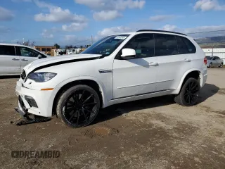 2010 BMW X5 M with VIN 5YMGY0C55ALK25116, listed as a Copart auction lot 45366595 with 183,798 mi miles and Salvage Title. Bid and sale history available at carsss.com. Image 1.