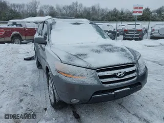 2009 Hyundai Santa Fe SE with VIN 5NMSH13E19H287053, listed as a IAAI auction lot 41600820 with 0 mi miles. Bid and sale history available at carsss.com. Image 1.