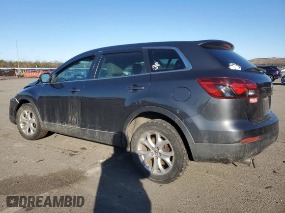 2014 Mazda CX-9 Touring with VIN JM3TB2CV0E0436923, listed as a Copart auction lot 45360515 with 116,801 mi miles and Clean Title. Bid and sale history available at carsss.com. Image 2.